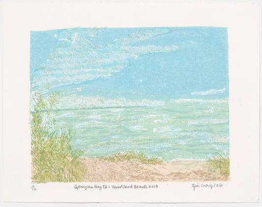 Georgian Bay IV: Woodland Beach 2018